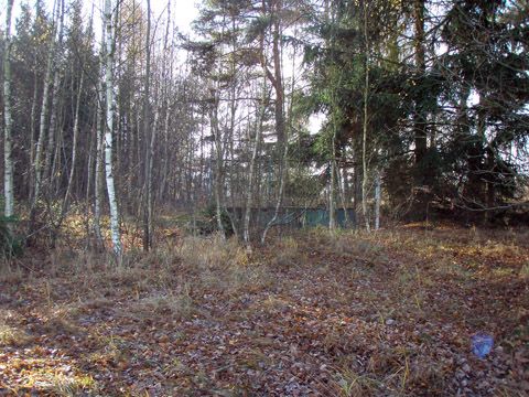 Foto 15